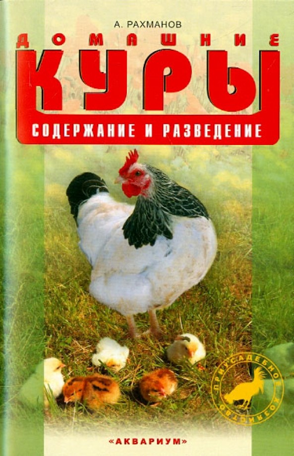 Домашние куры: Содержание и разведение
