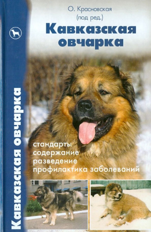 Кавказская овчарка: Стандарты. Содержание. Разведение. Профилактика заболеваний
