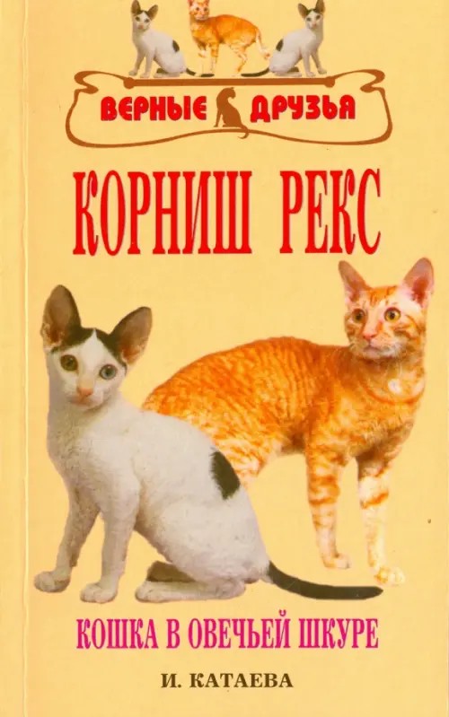 Корниш рекс