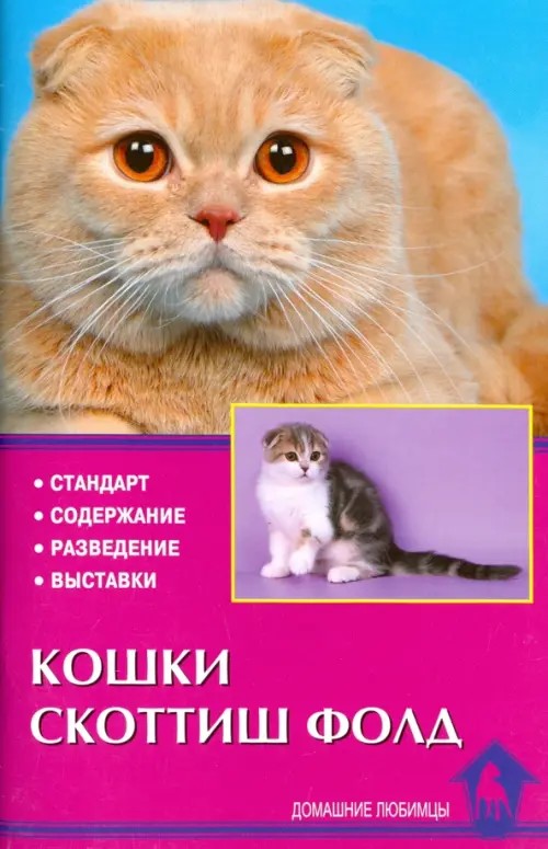 Кошки скоттиш-фолд