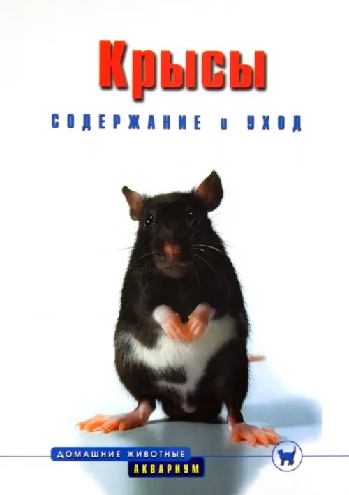 Крысы: Содержание и уход