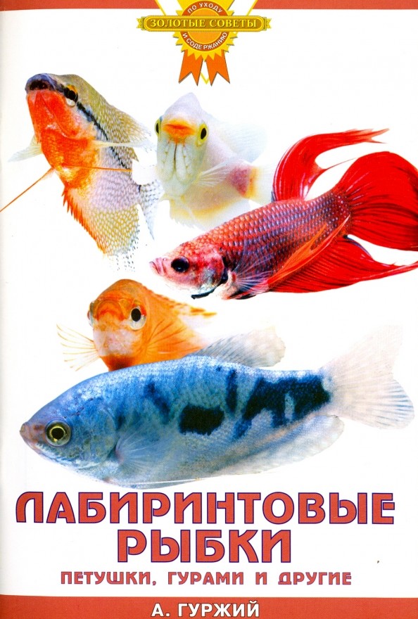 Лабиринтовые рыбки: Петушки, гурами и другие