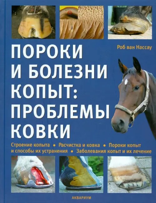 Пороки и болезни копыт: проблемы ковки