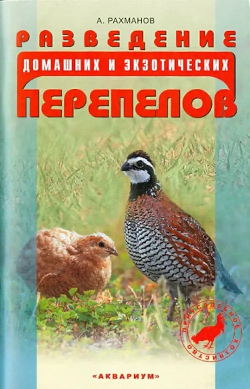 Разведение домашних и экзотических перепелов