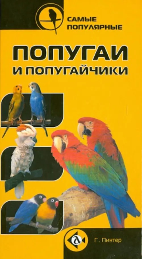 Самые популярные попугаи и попугайчики