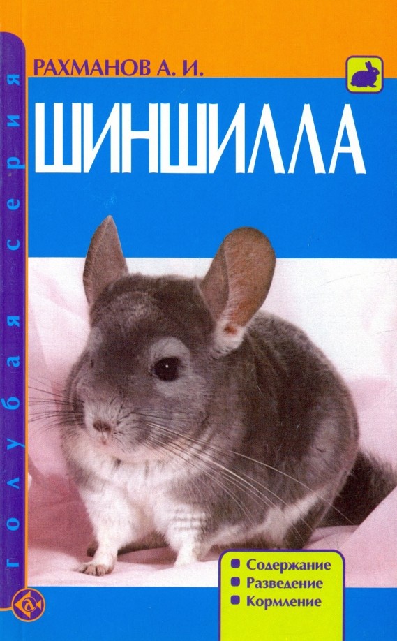 Шиншилла
