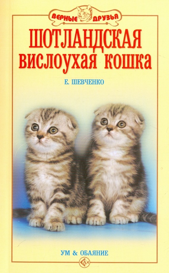 Шотландская вислоухая кошка