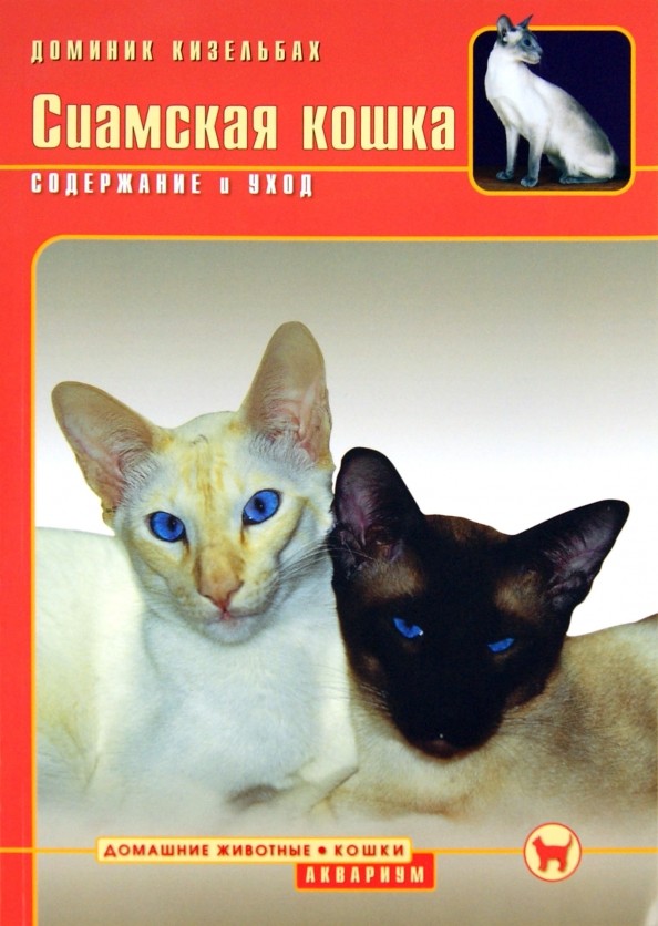 Сиамская кошка