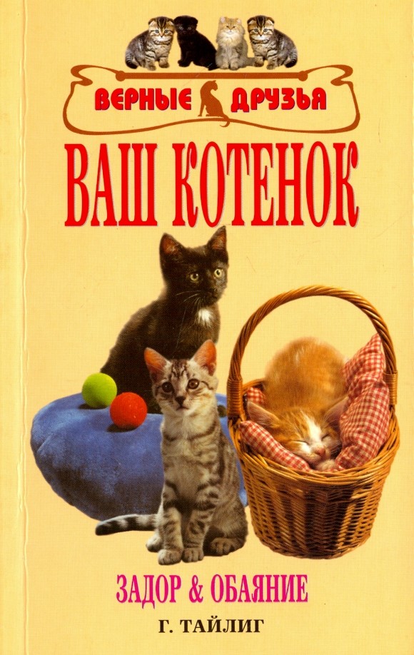 Ваш котенок: Задор и обаяние