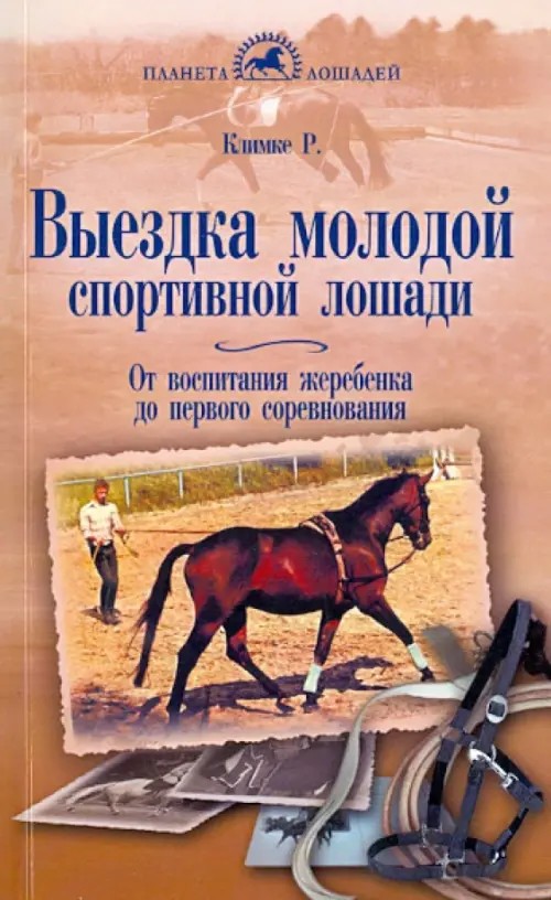 Выездка молодой спортивной лошади: От воспитания жеребенка до первого соревнования