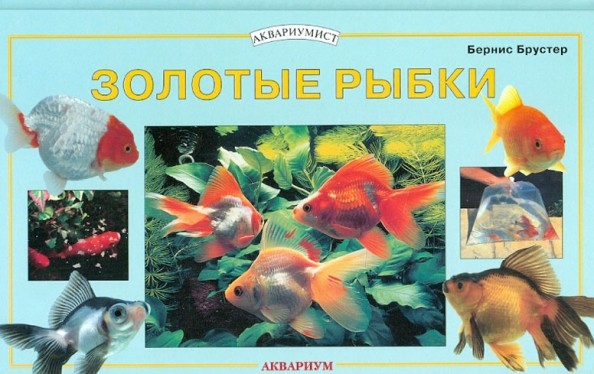 Золотые рыбки