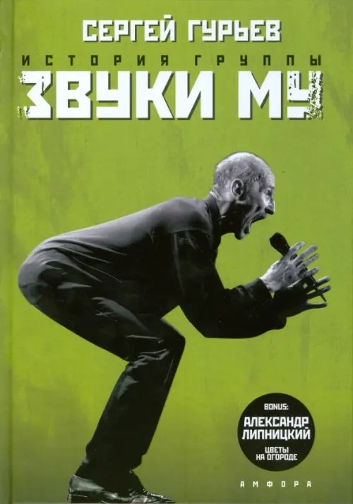 История группы «Звуки Му»