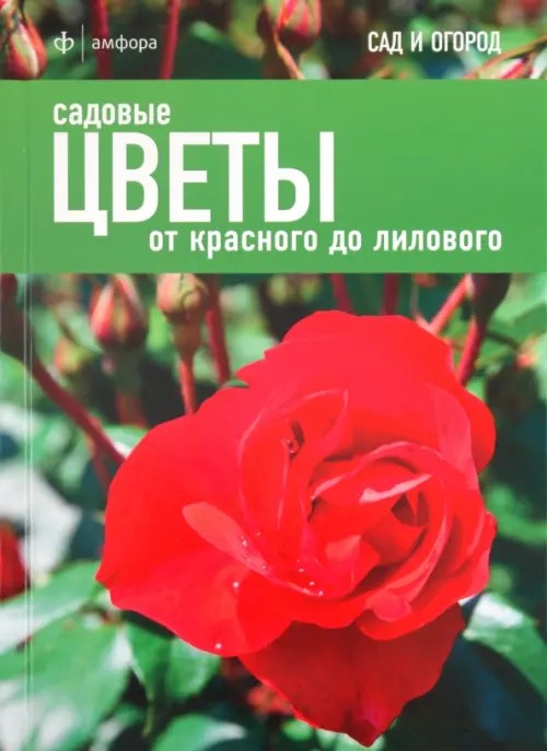 Садовые цветы: От красного до лилового
