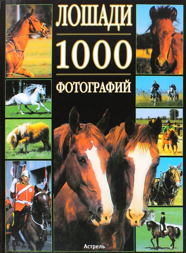 Лошади: 1000 фотографий