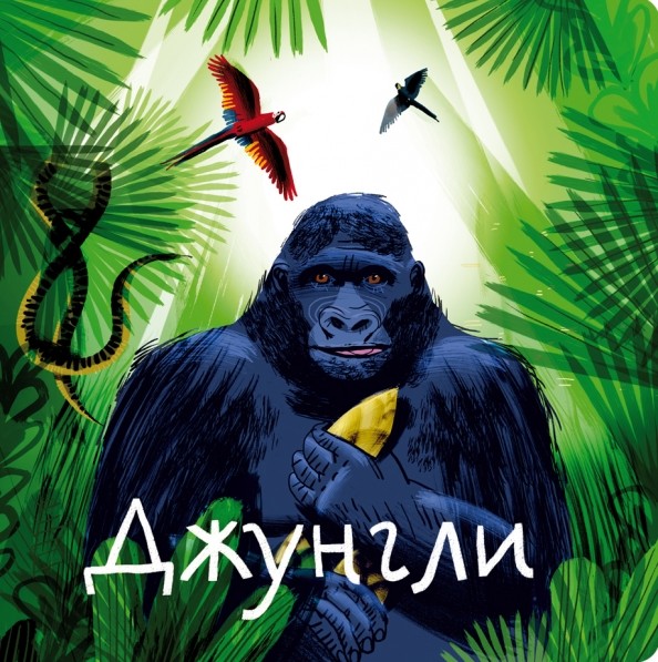 Джунгли