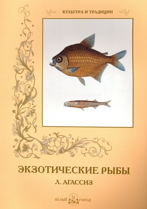 Экзотические рыбы