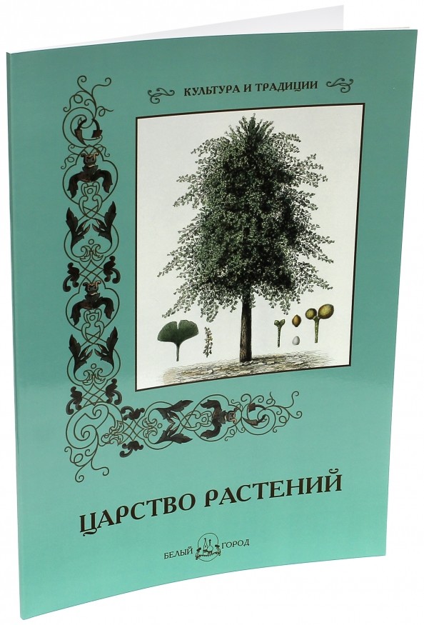 Царство растений