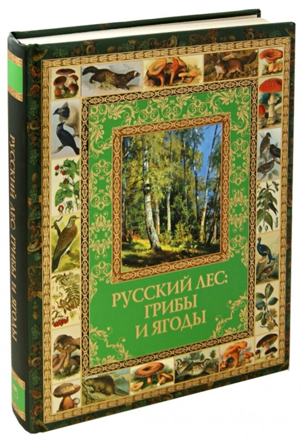 Русский лес: грибы и ягоды