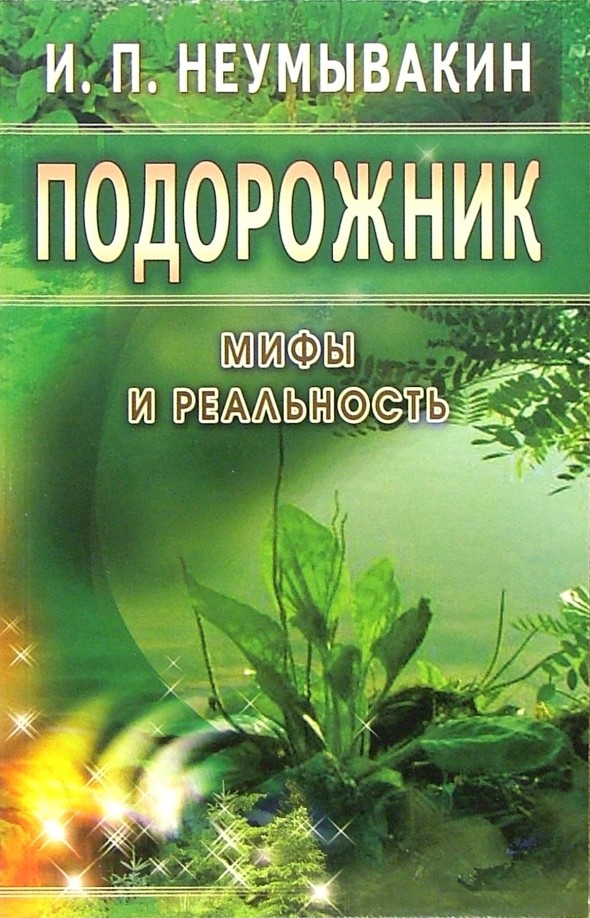 Подорожник: мифы и реальность