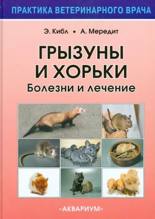 Грызуны и хорьки: Болезнь и лечение