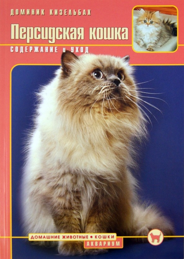 Персидская кошка