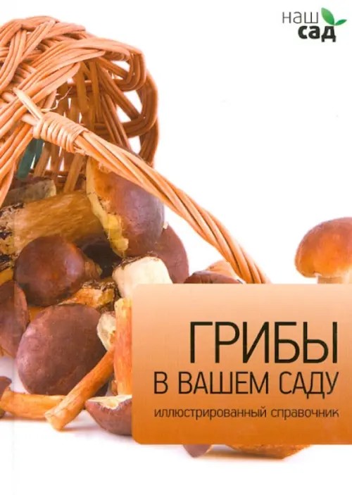 Грибы в вашем саду