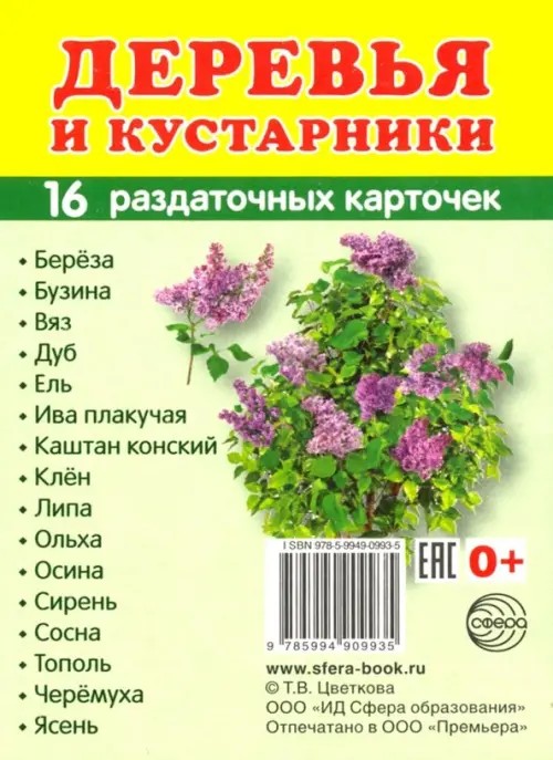 Раздаточные карточки: Деревья и кустарники