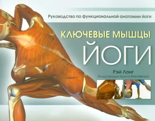 Ключевые мышцы йоги