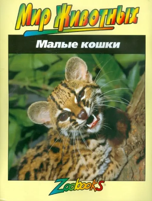 Малые кошки