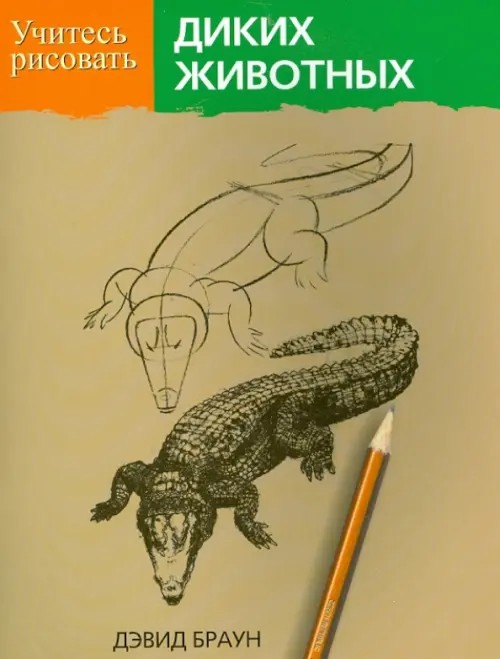 Учитесь рисовать диких животных
