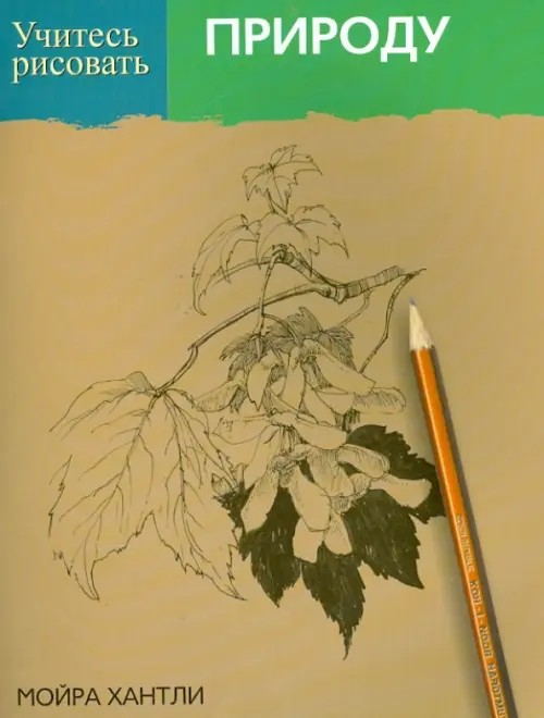 Учитесь рисовать природу