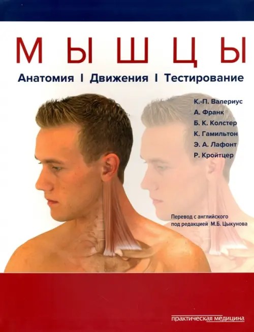 Мышцы: Анатомия. Движения. Тестирование