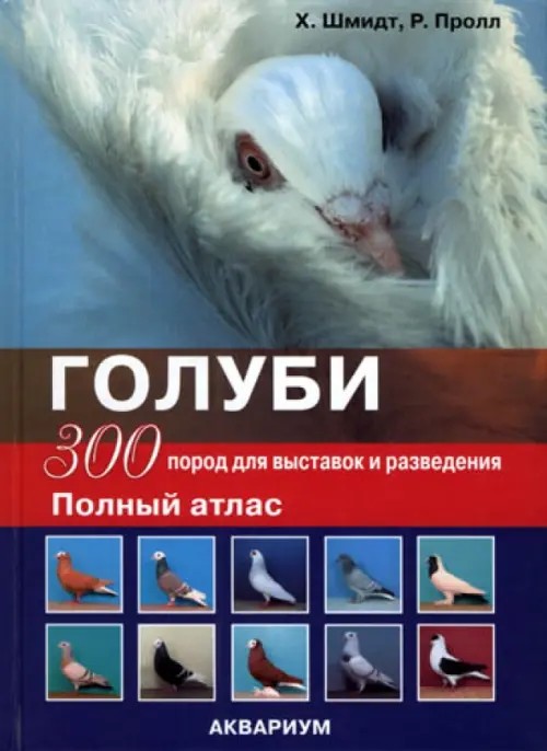Голуби: 300 пород для выставок и разведения