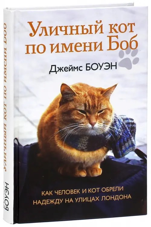 Уличный кот по имени Боб: Как человек и кот обрели надежду на улицах Лондона