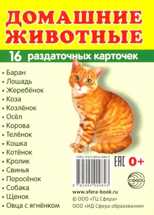 Домашние животные: 16 раздаточных карточек с текстом на русском и английском языках