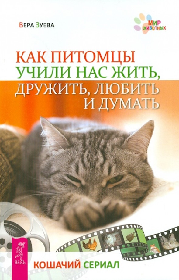 Как питомцы учили нас жить, дружить, любить и думать: Кошачий сериал