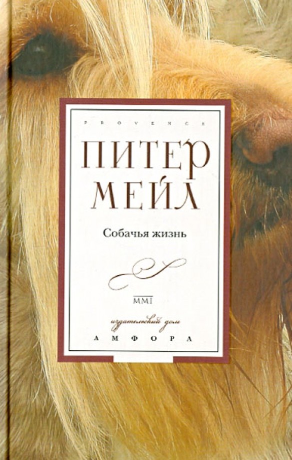 Собачья жизнь