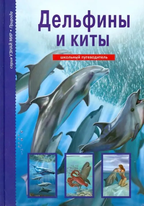 Дельфины и киты