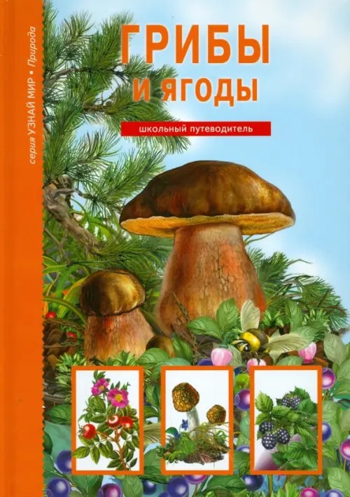 Грибы и ягоды