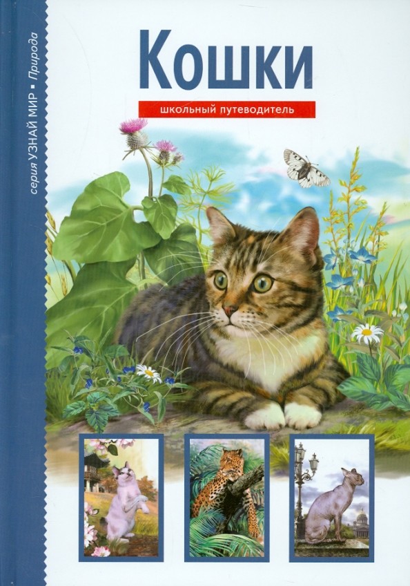 Кошки: Школьный путеводитель