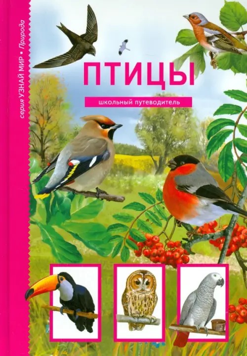 Птицы: Школьный путеводитель