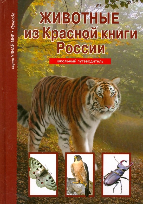 Животные из Красной книги России: Школьный путеводитель