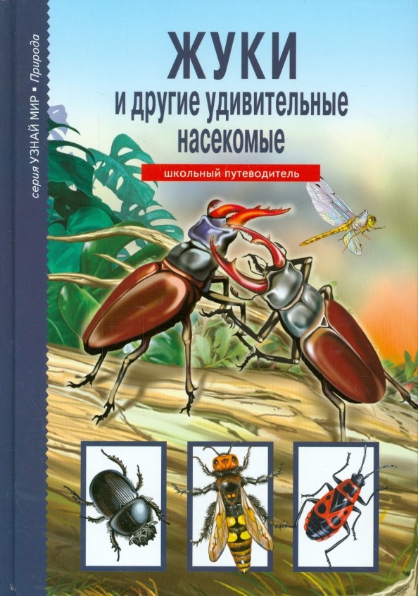 Жуки и другие удивительные насекомые