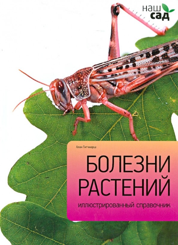 Болезни растений