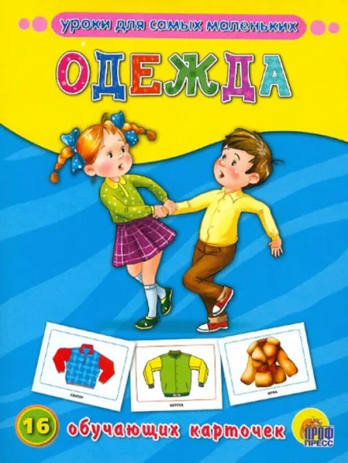 Одежда