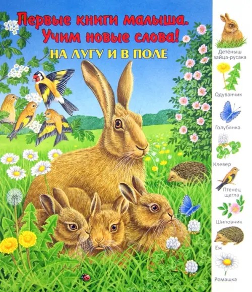 На лугу и в поле