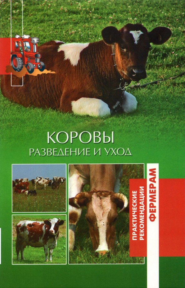 Коровы: Разведение и уход